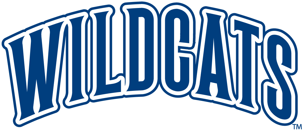 Villanova Wildcats 1996-Pres Wordmark Logo 02 iron on paper